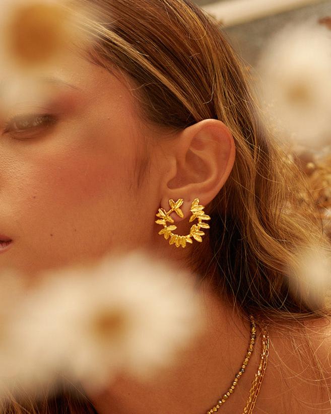 aretes-cienaga