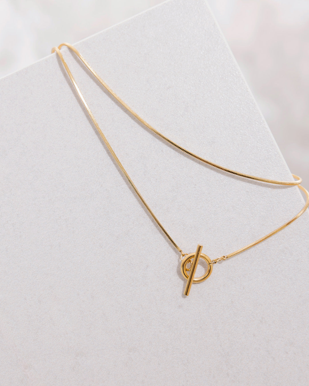 Colla Doble Lazo - Acero Inoxidable