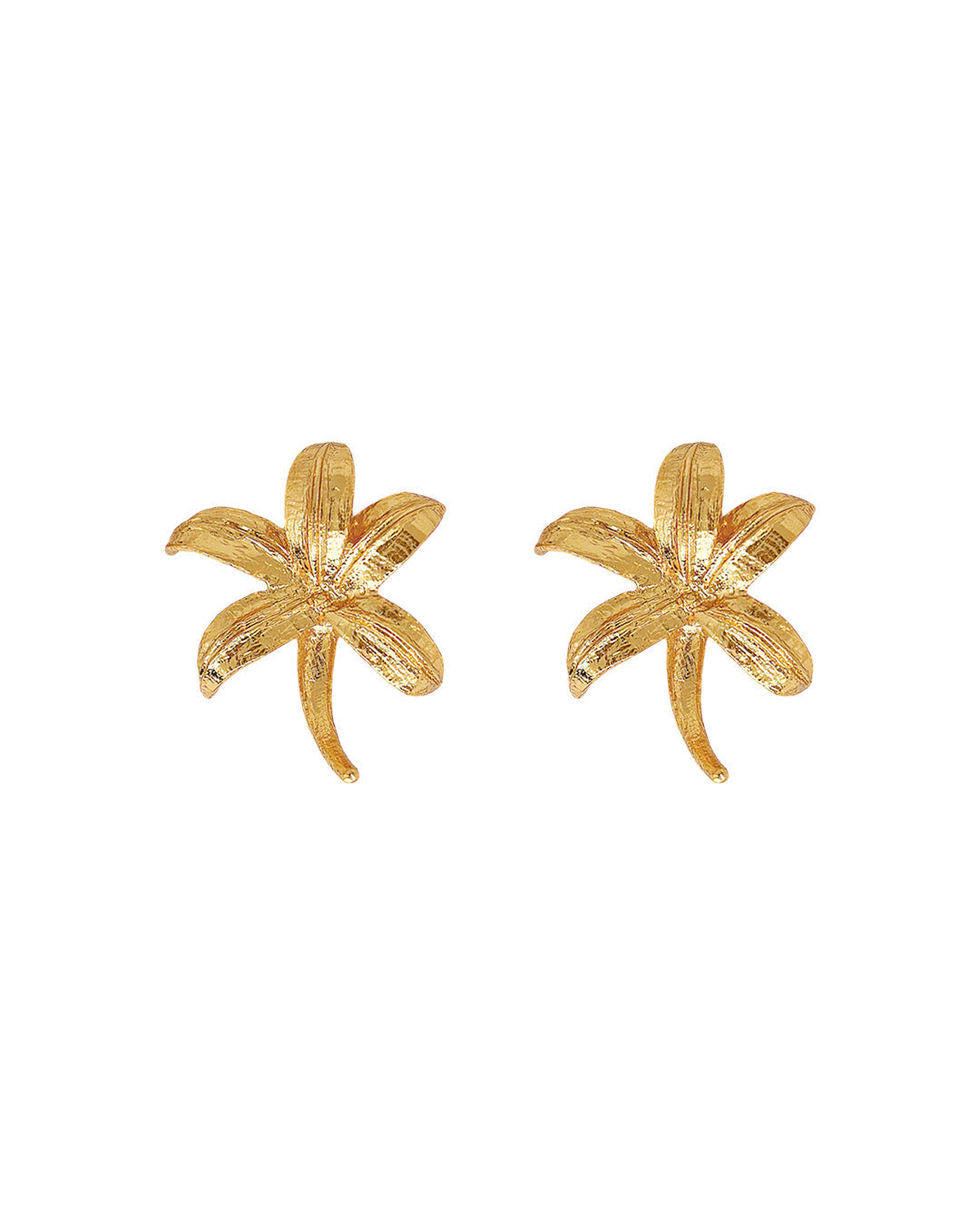 aretes-cattleya