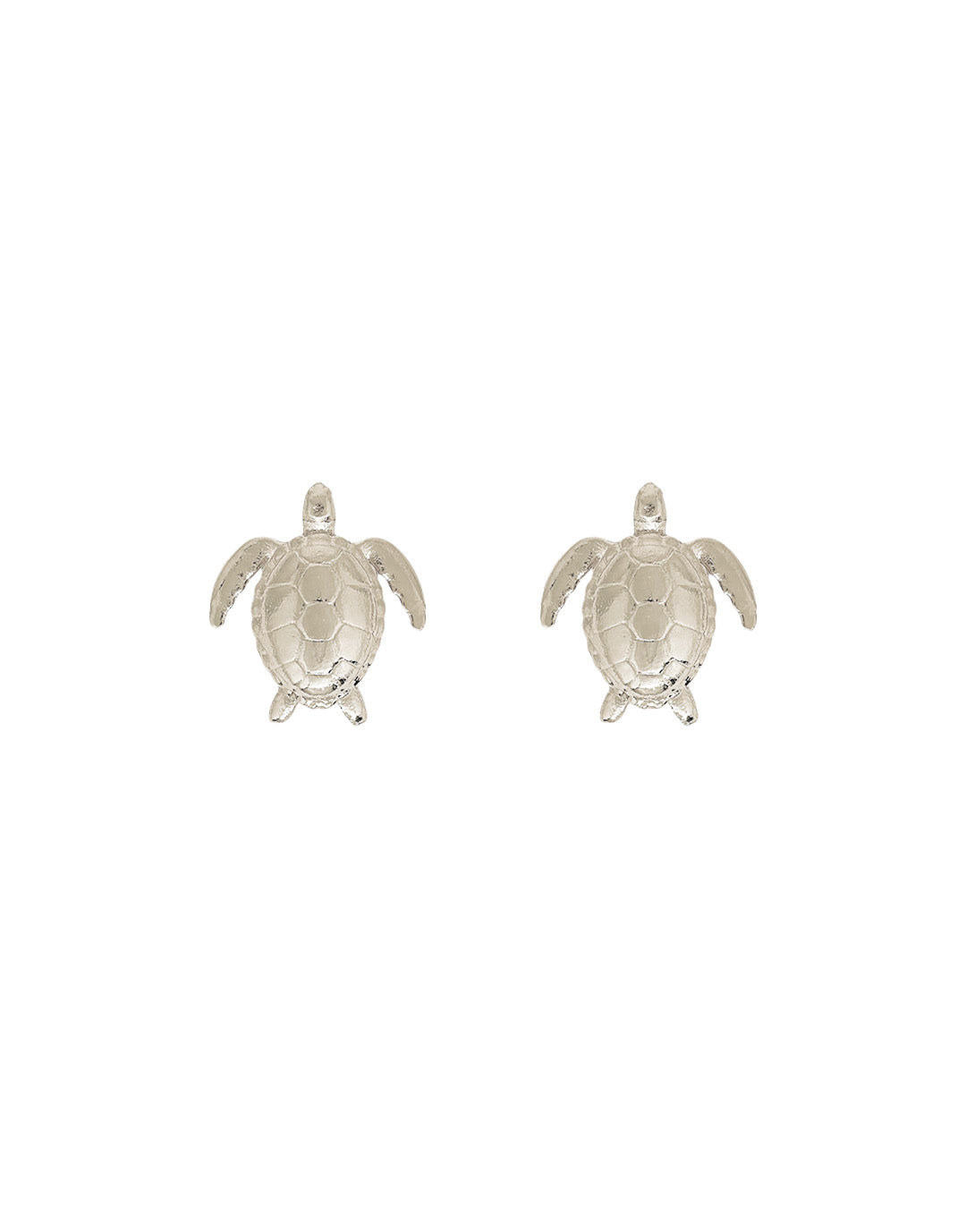 Aretes Turtle Reef