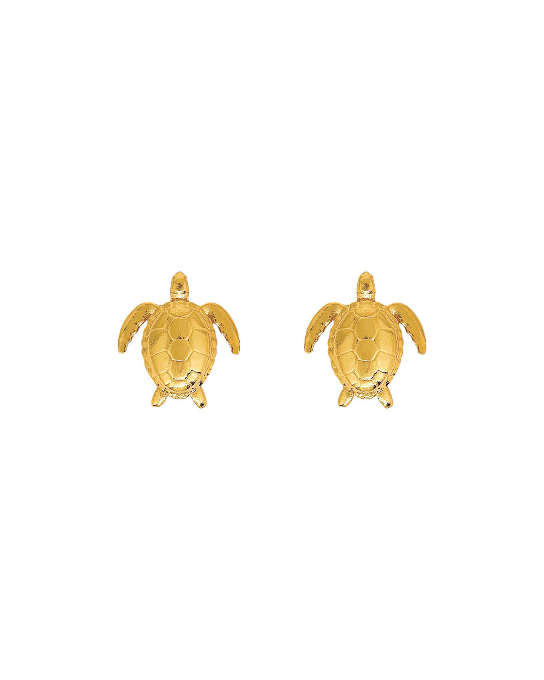 Aretes Turtle Reef