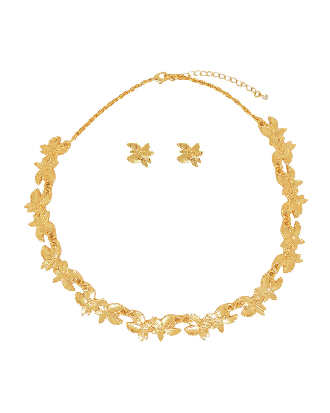 Collar Maranta