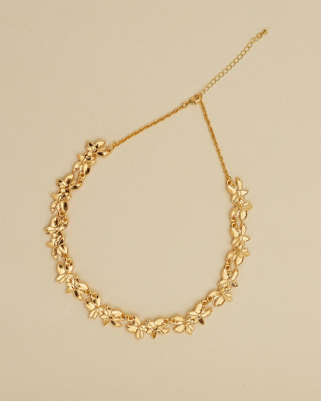 Collar Maranta