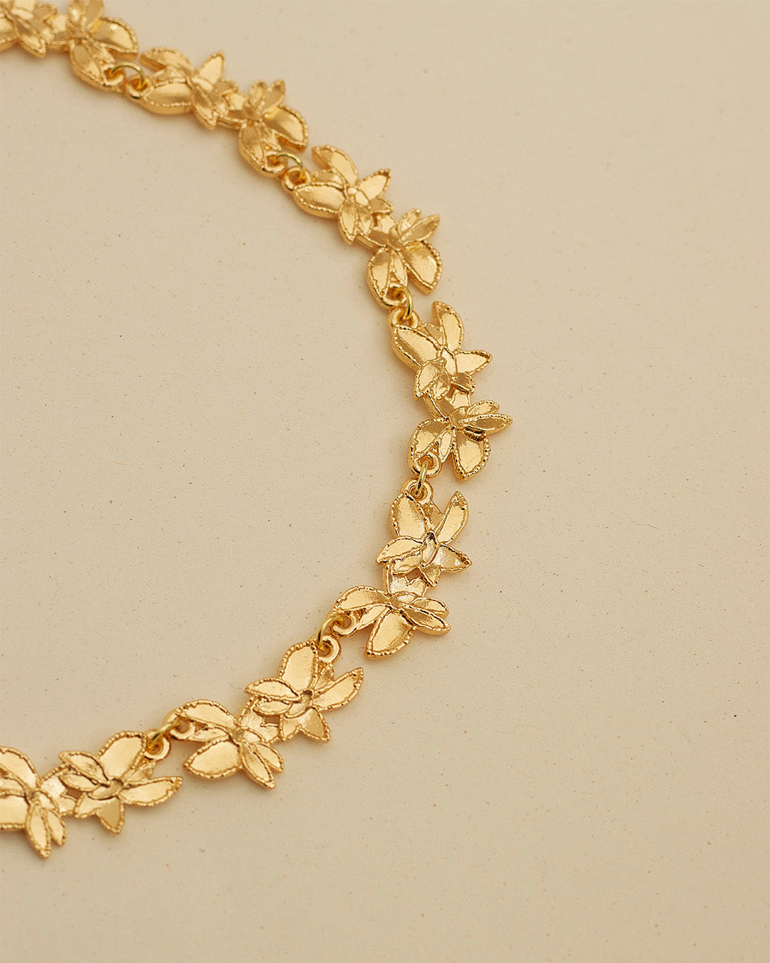 Collar Maranta