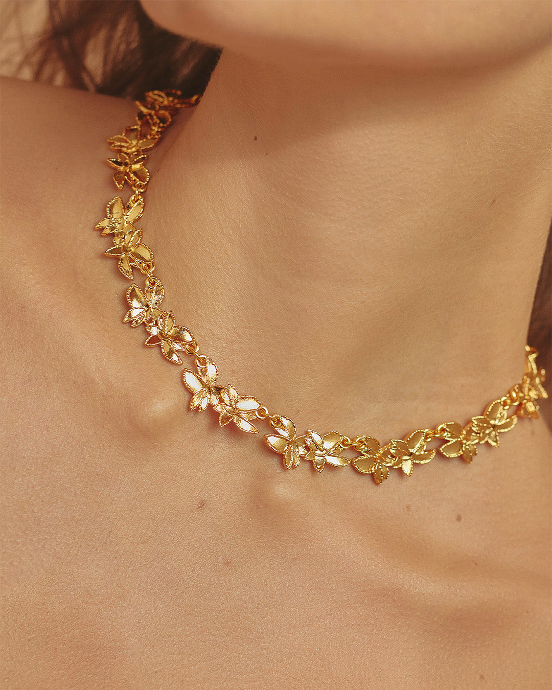 Collar Maranta