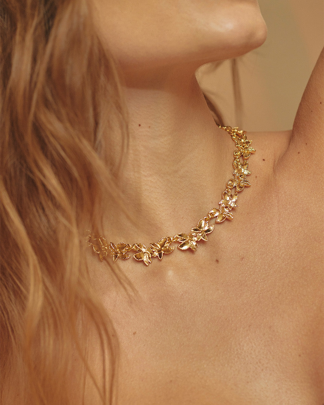 Collar Maranta