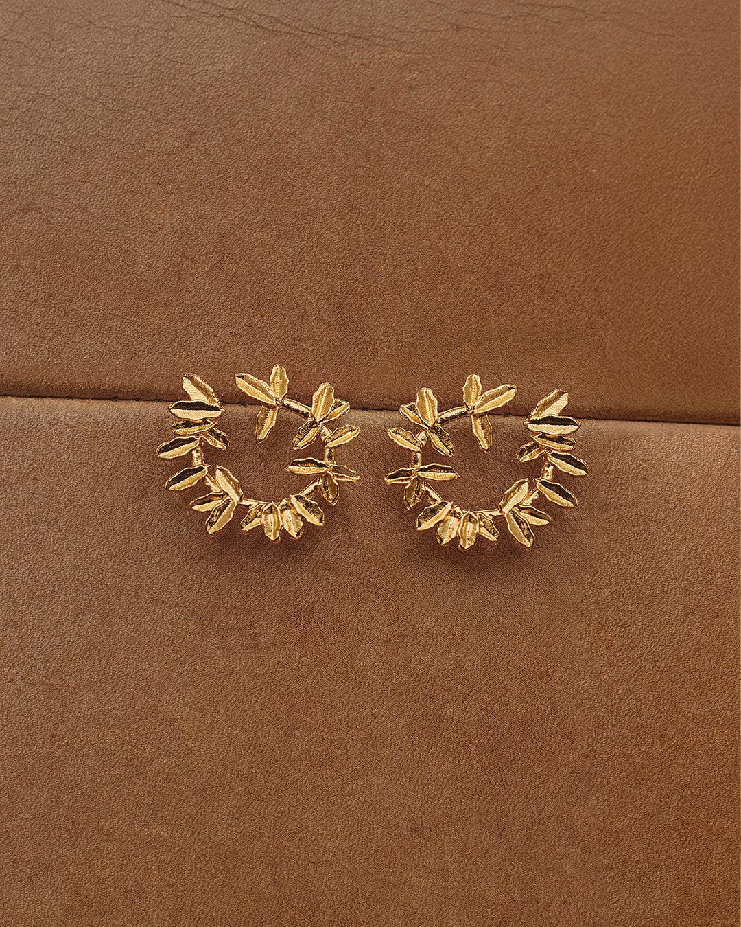 Aretes Cienaga