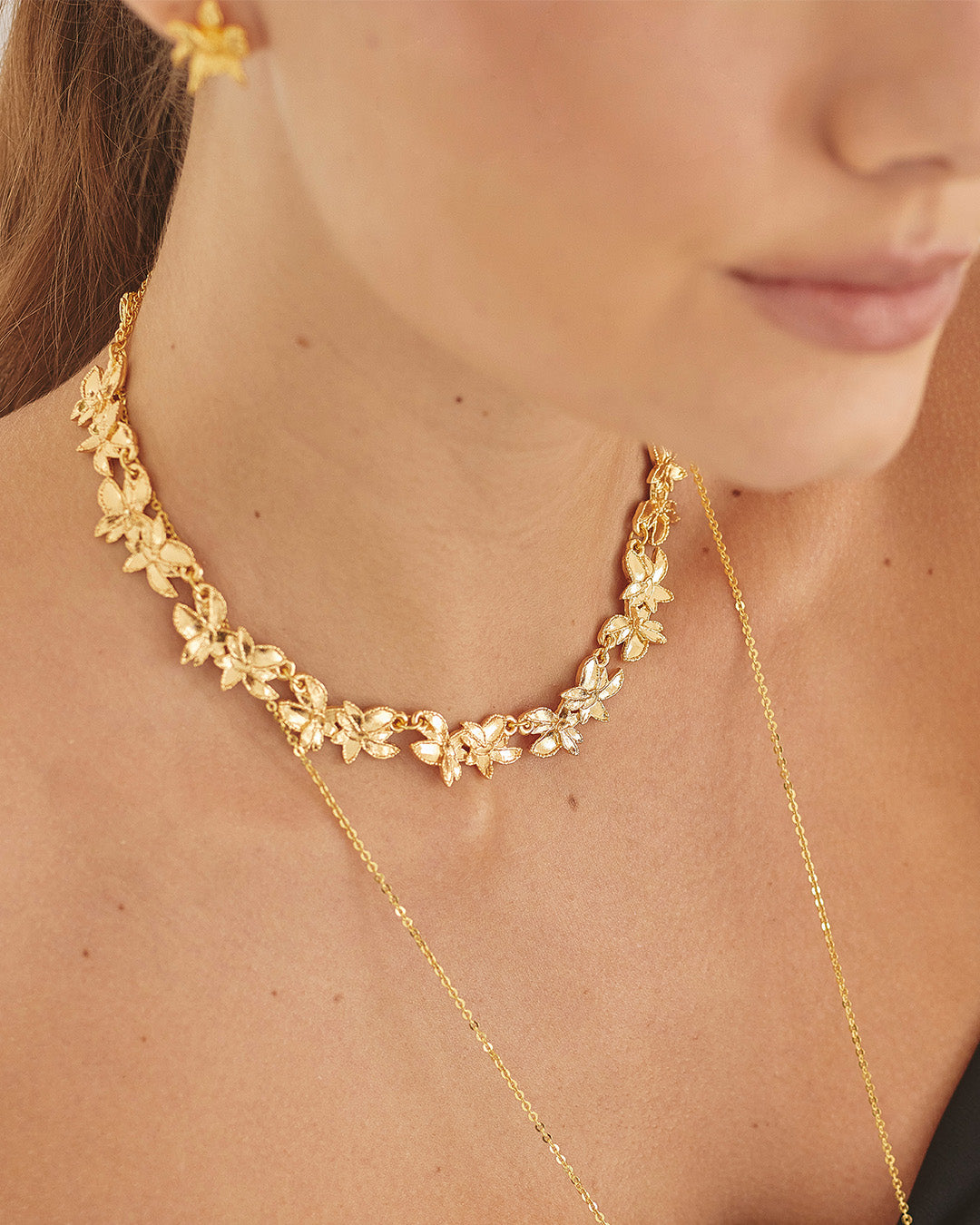 Collar Maranta