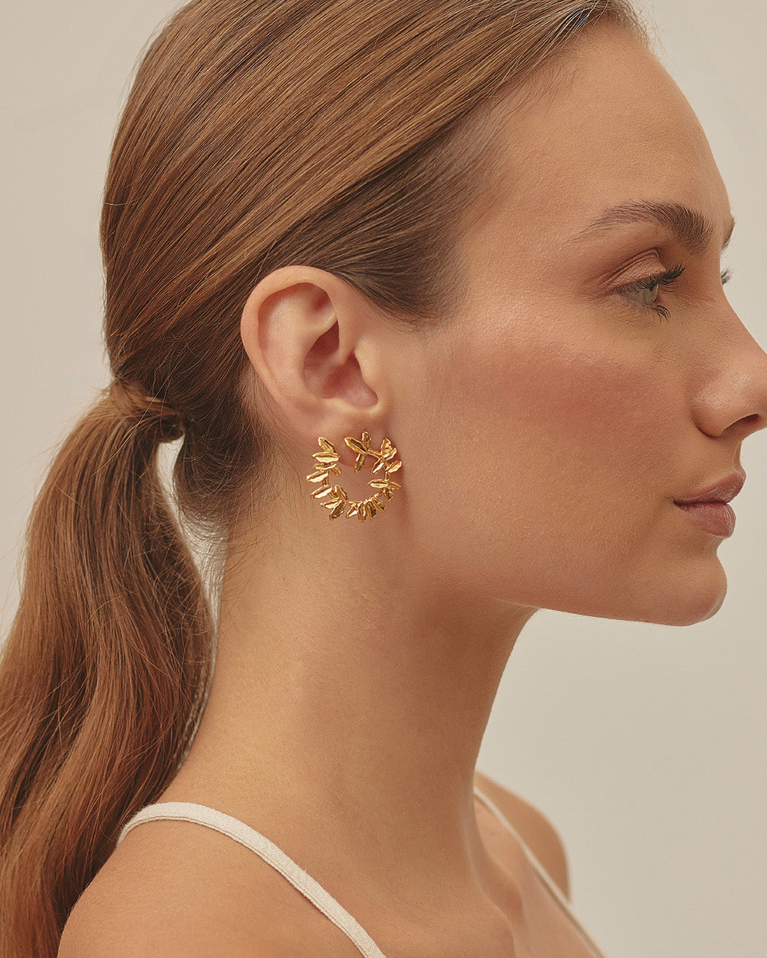 Aretes Cienaga