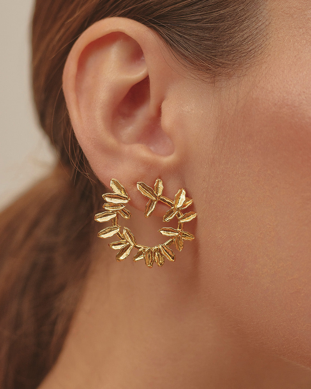 Aretes Cienaga