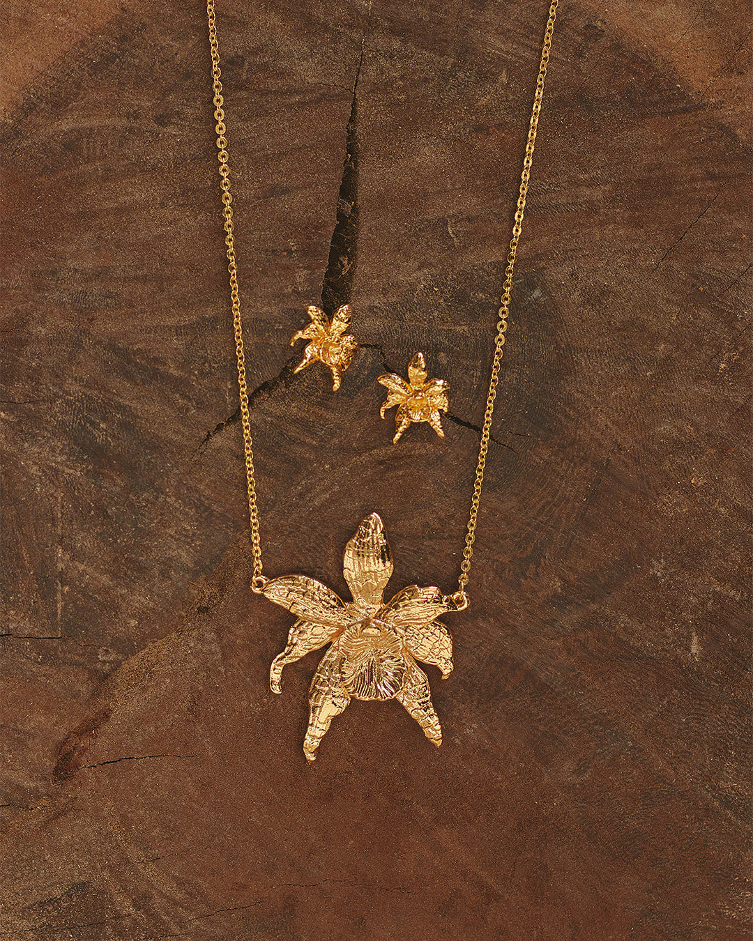 Set de Collar y Aretes Salma