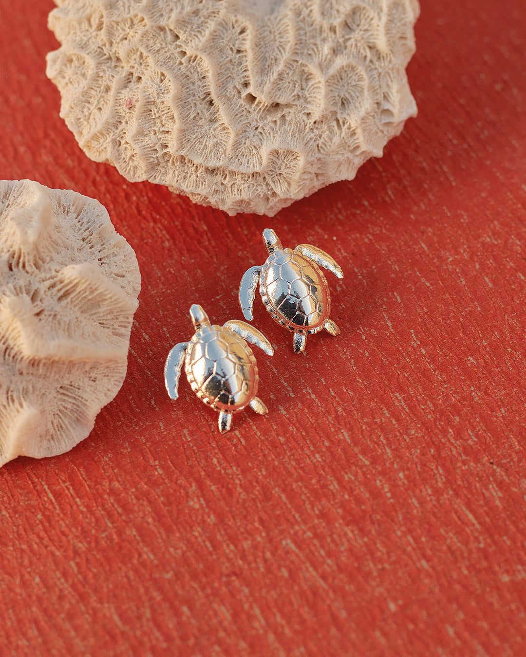 Aretes Turtle Reef