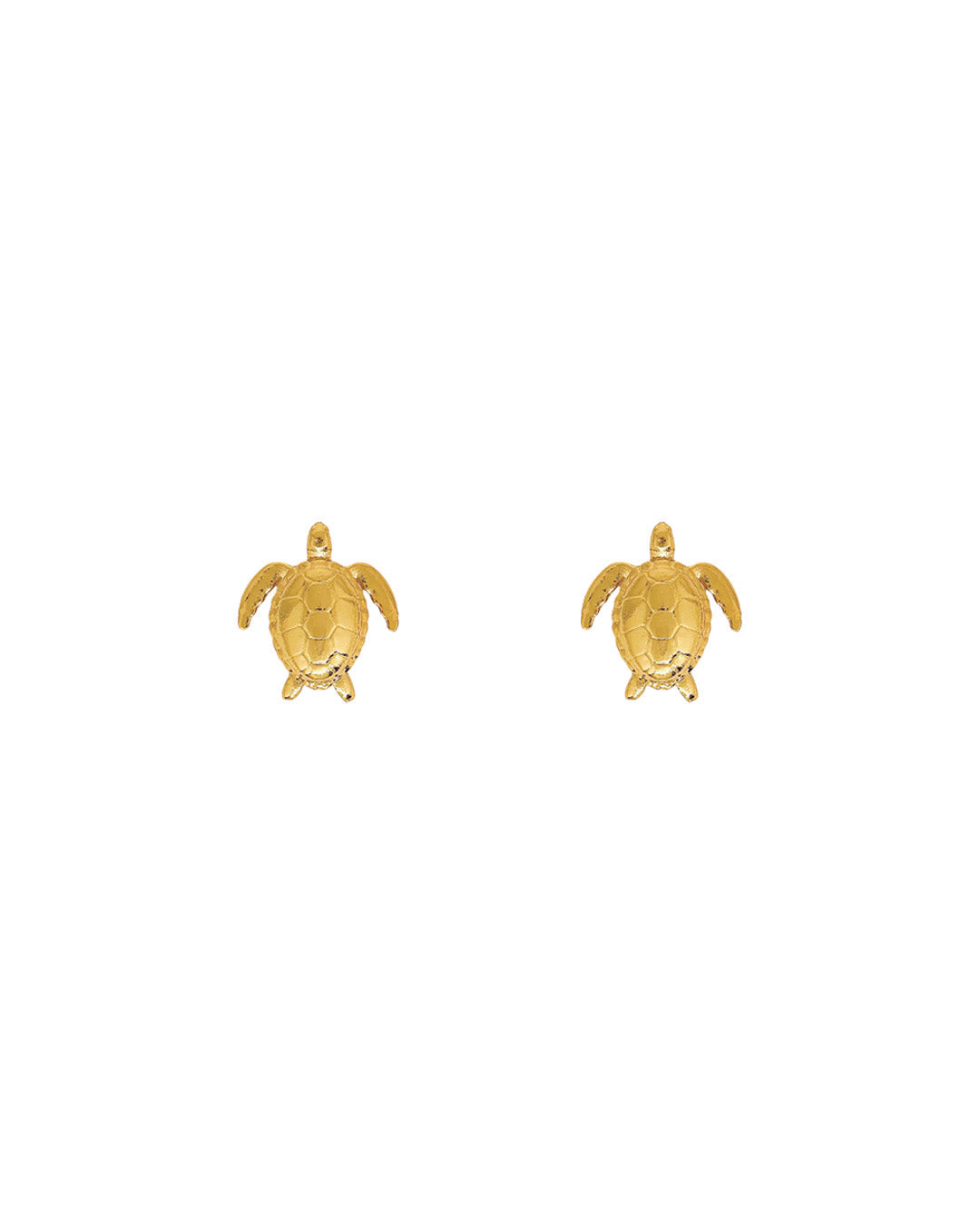 Topos Tortuga Mini